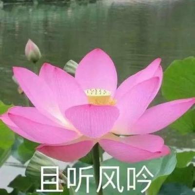 【境内疫情观察】江苏扬州新增6例本土病例（8月17日）